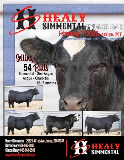 2025 Sale